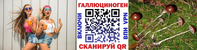 mega вход  Цоци-Юрт  Псилоцибиновые грибы прущие грибы  где продают  