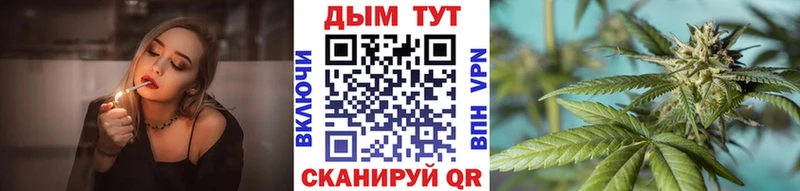 МАРИХУАНА план  МЕГА как войти  Цоци-Юрт 